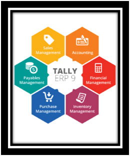 tally institute